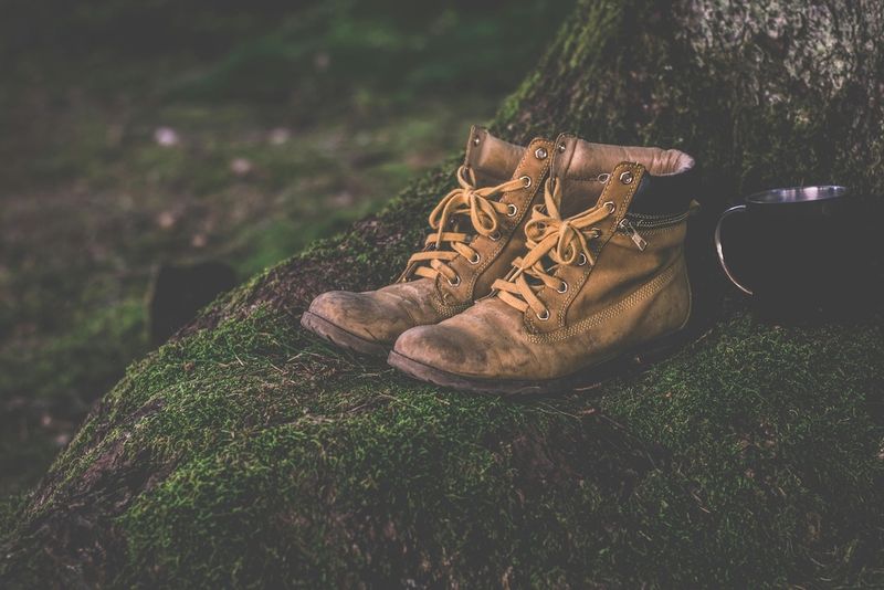 A pair of brown work boots on a mossy tree trunk